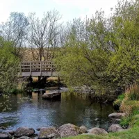 bryn-gloch-caravan-camping-park-caernarfon-oommi