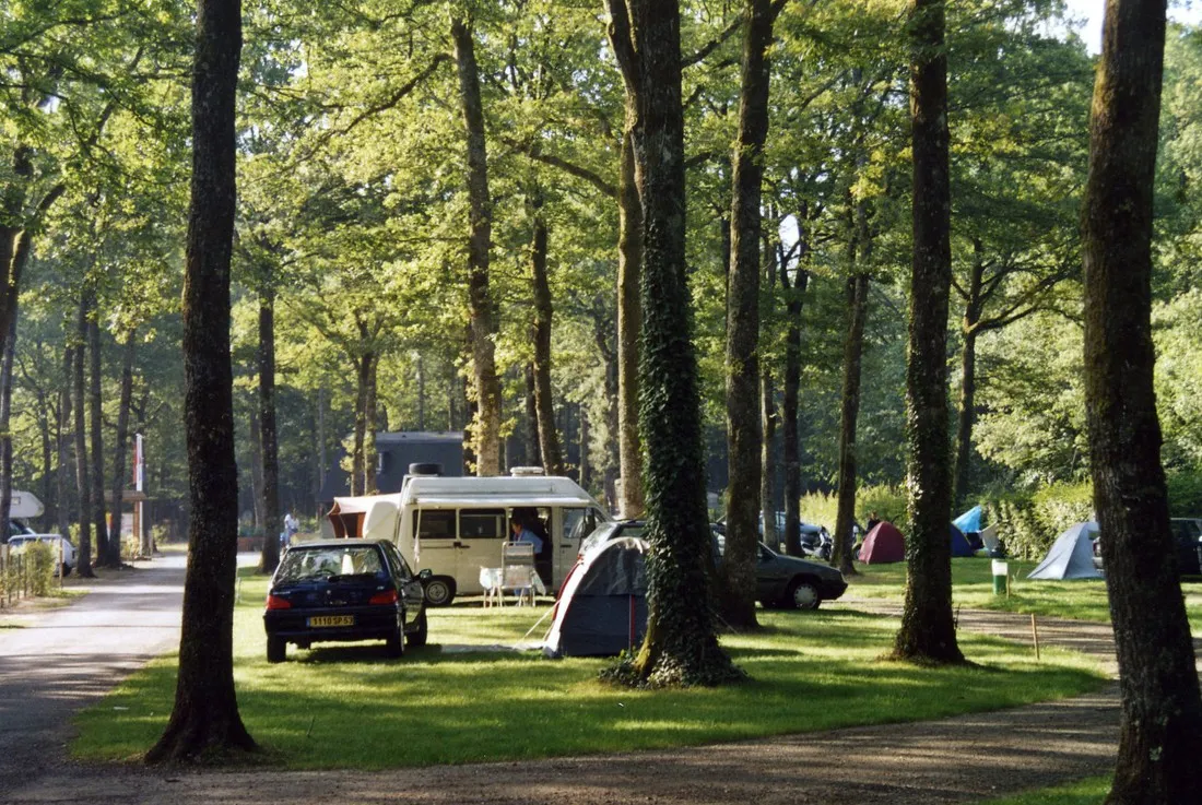la-foret-sille-le-guillaume-sarthe-yzbup