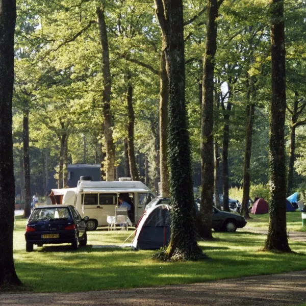 la-foret-sille-le-guillaume-sarthe-yzbup