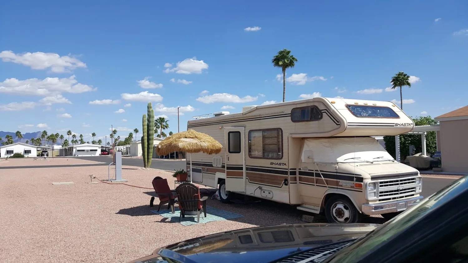 blue-star-rv-resort-apache-junction-ywjzr