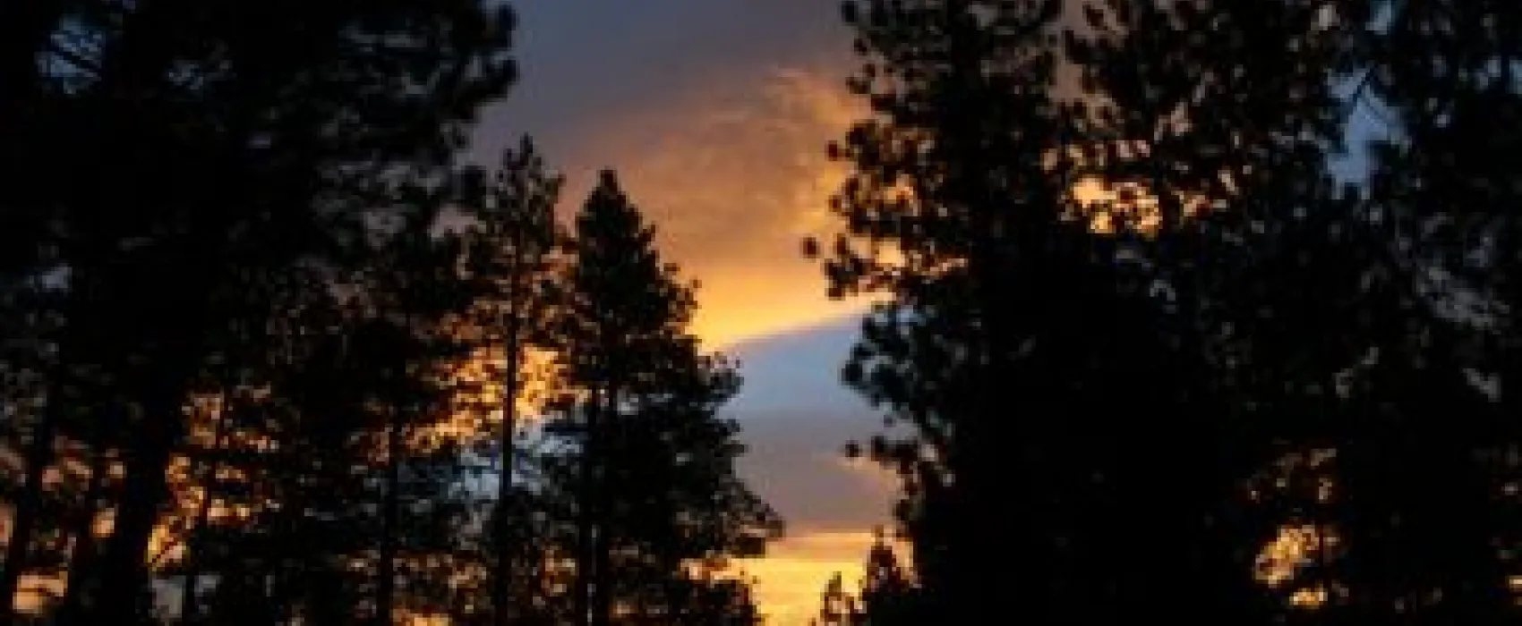 Sierra Springs Rv Resort