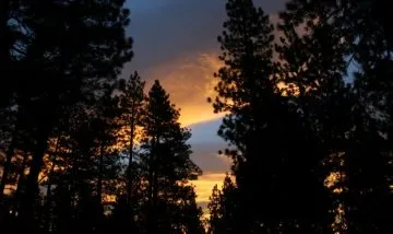 sierra-springs-rv-resort-1-hlfwr