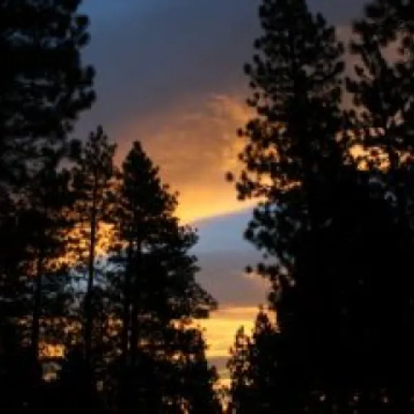 sierra-springs-rv-resort-1-hlfwr