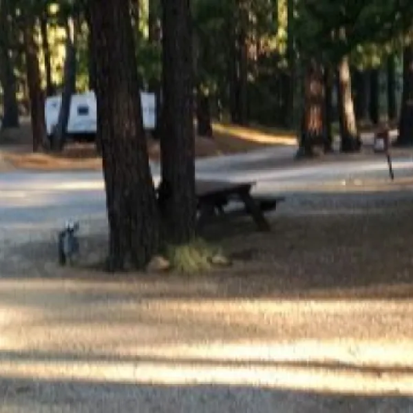 sierra-springs-rv-resort-1-xd1ar