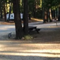sierra-springs-rv-resort-1-xd1ar