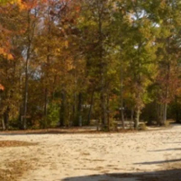 big-timber-lake-rv-resort-cape-may-court-house-cuki5