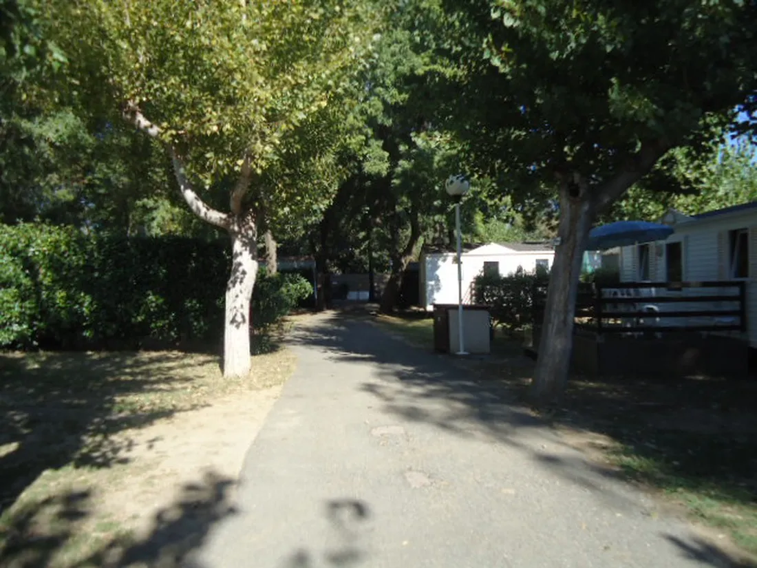 le-sequoia-antibes-alpes-maritimes-ccpmm