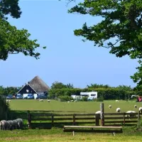 Boerderijcamping Don Voorzorg