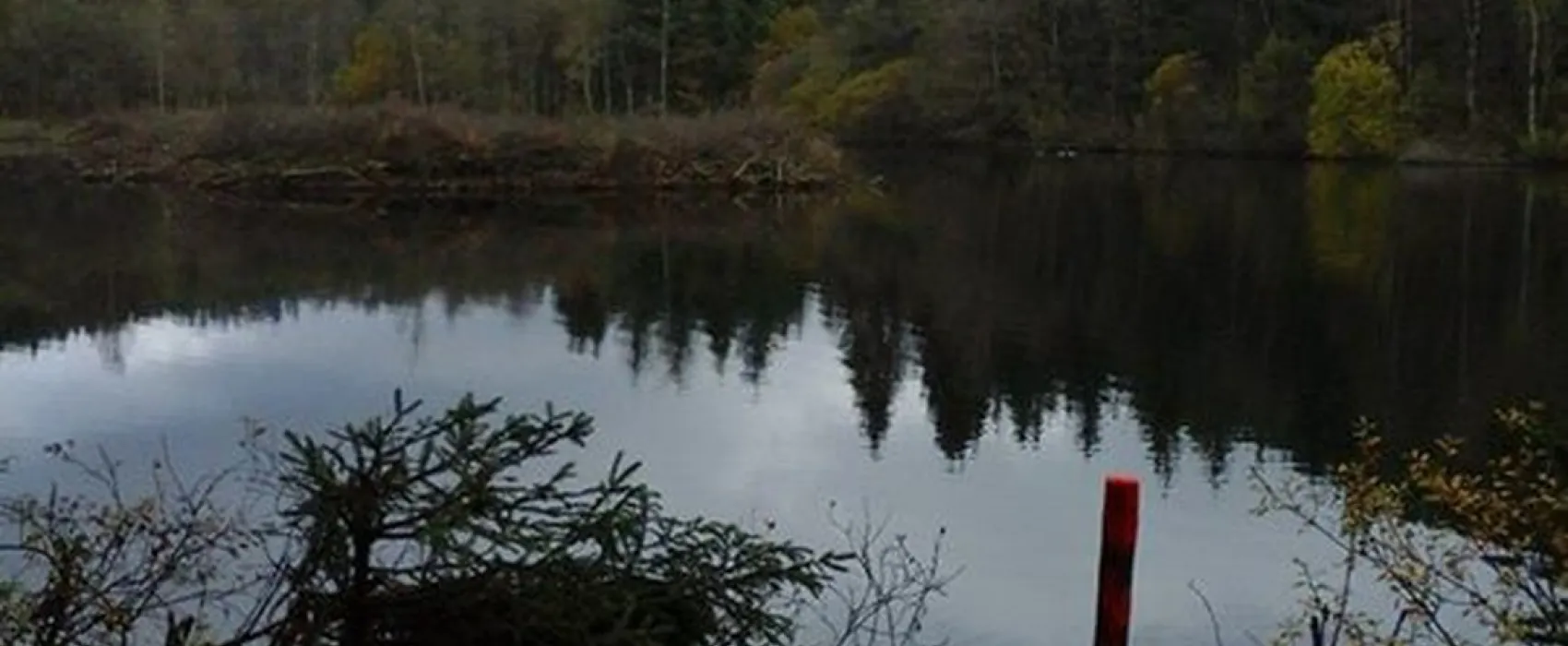 Mini camping de Paardebloem