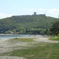 Arion