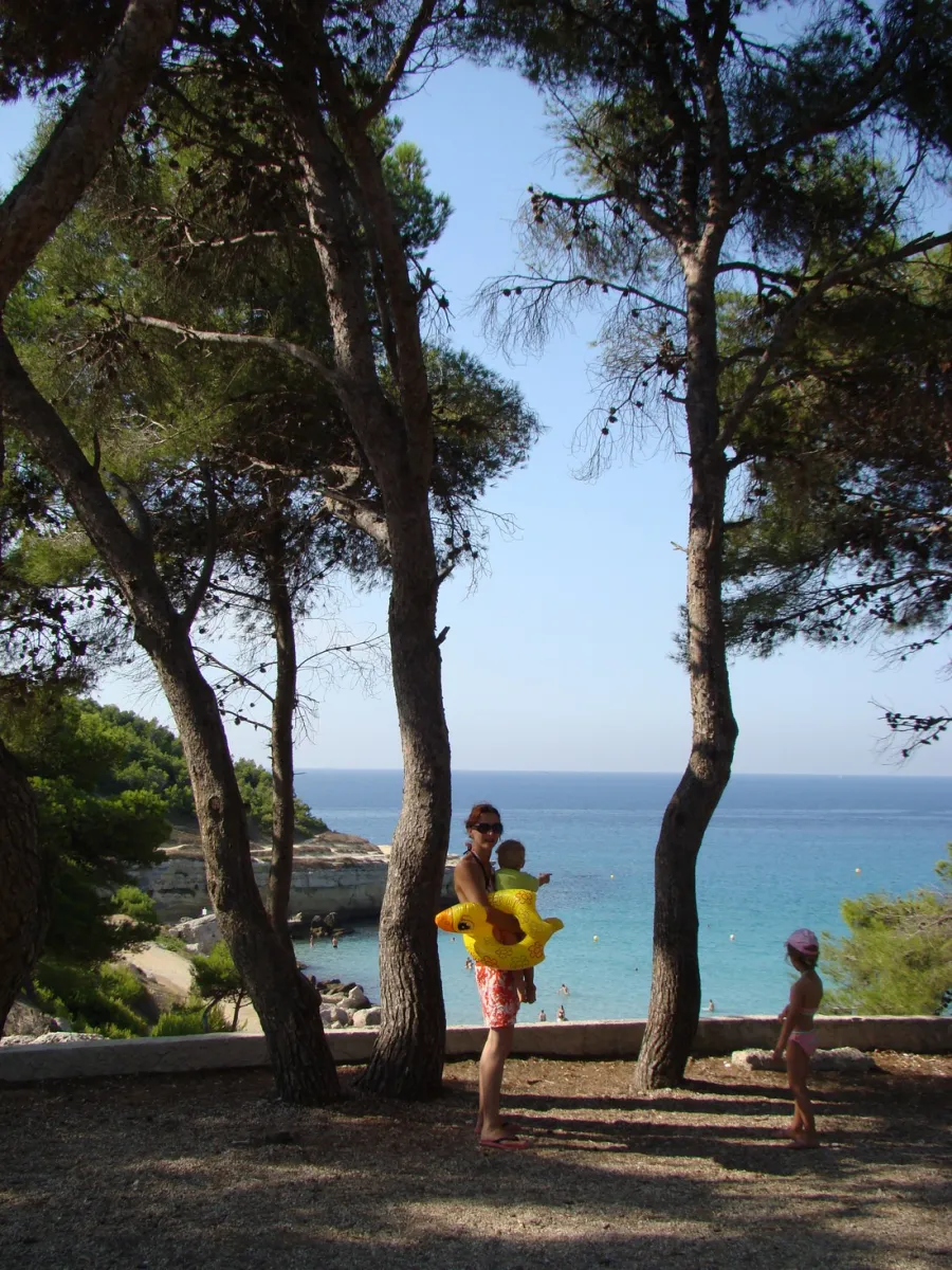 lou-cigalon-martigues-cy0uh