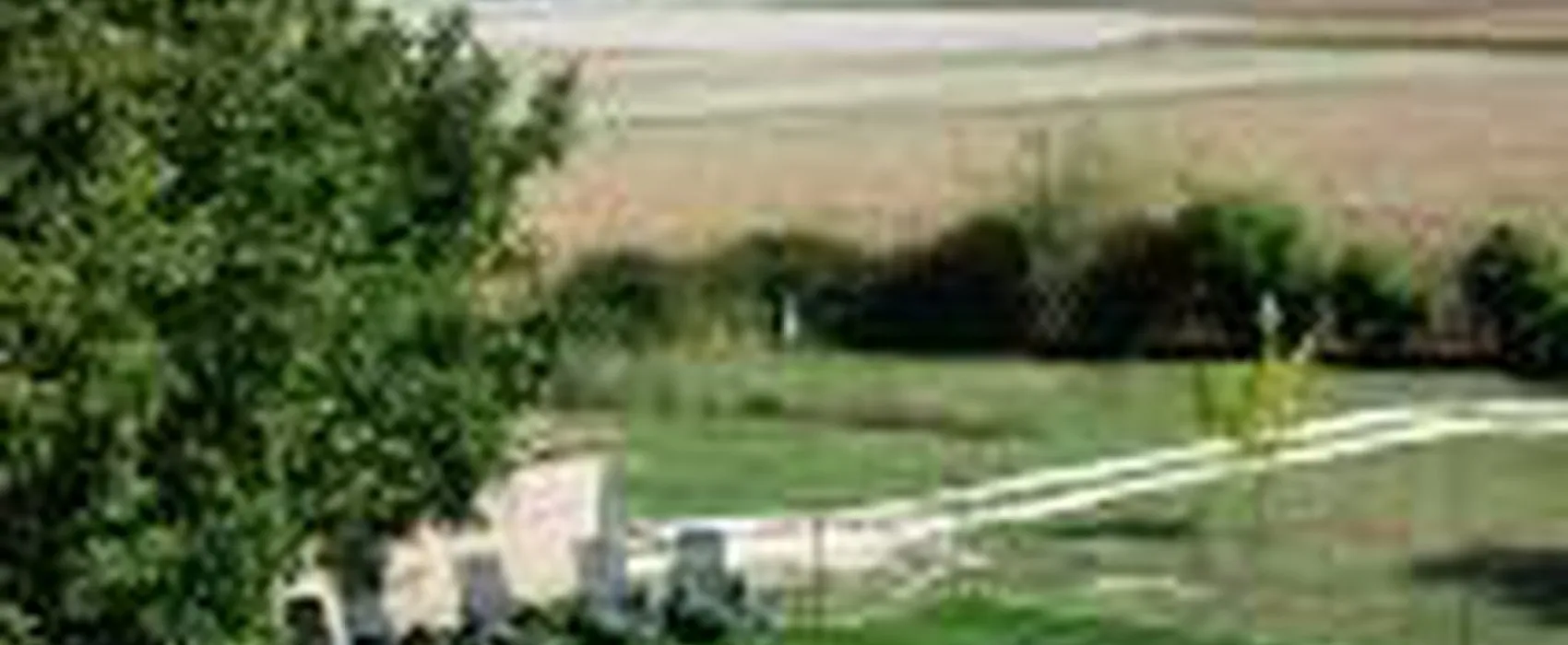 Domaine Le Grand Cailleau