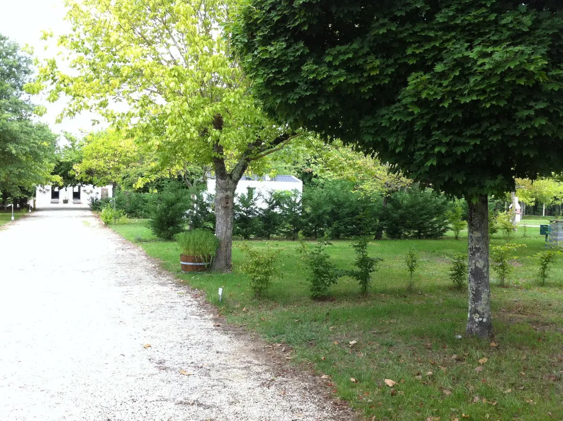 leau-vive-les-eglisottes-et-chalaures-gojfi
