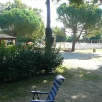 le-grand-bois-le-pontet-vaucluse-al8ao