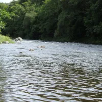municipal-rapides-de-phades-montherme-6oeyu