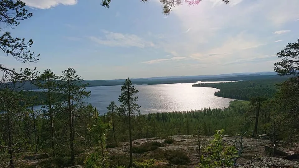 heidin-mummola-turtola-lrnrf