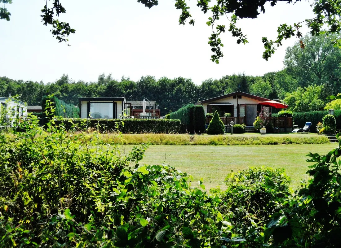 t-hilgelomeer-winterswijk-p5cy7