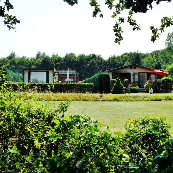 t-hilgelomeer-winterswijk-p5cy7