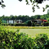 t-hilgelomeer-winterswijk-p5cy7