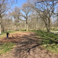 Ekenäs Camping