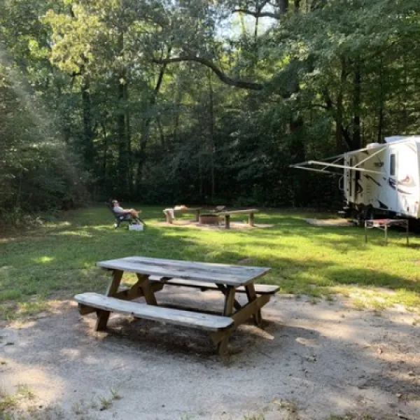 Redden State Forest