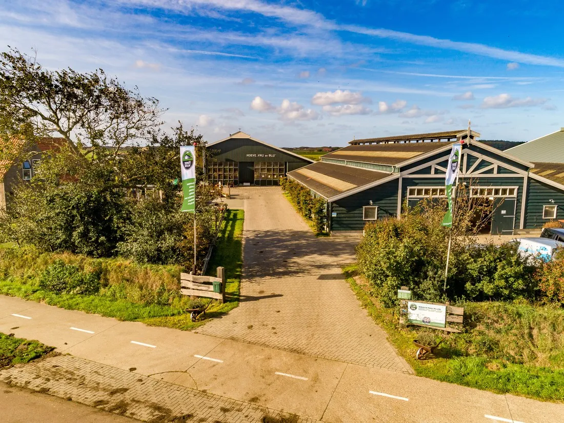 boerencamping-hoeve-vrij-blij-texel-yedjv