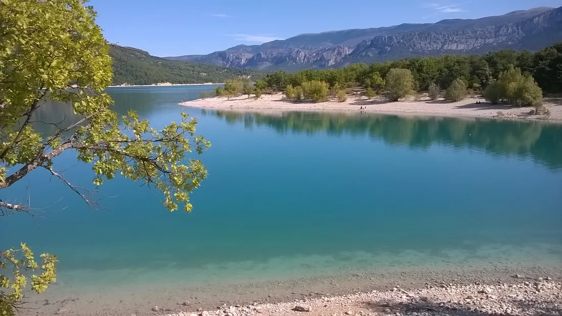 les-pins-les-salles-sur-verdon-erbfh