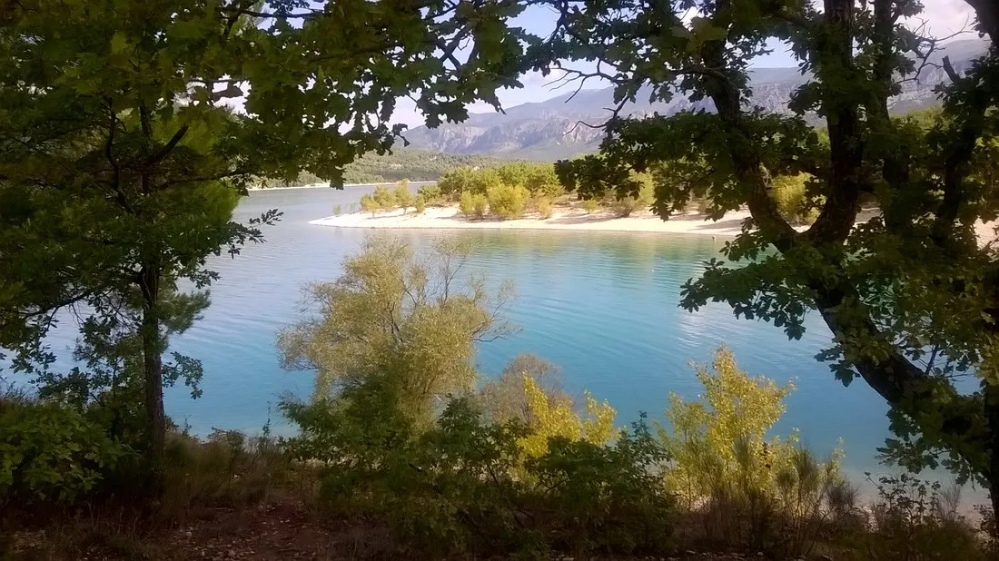 les-pins-les-salles-sur-verdon-my2uy