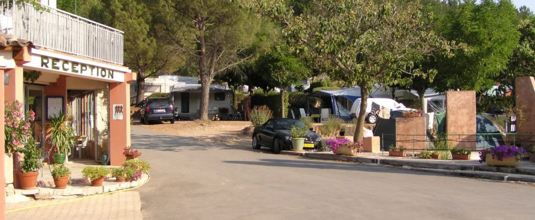 Les Pins