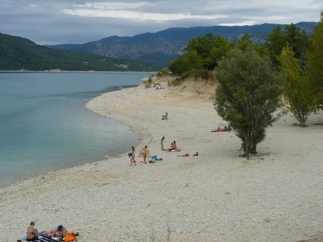 les-pins-les-salles-sur-verdon-wqewf
