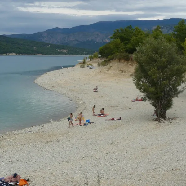 les-pins-les-salles-sur-verdon-wqewf