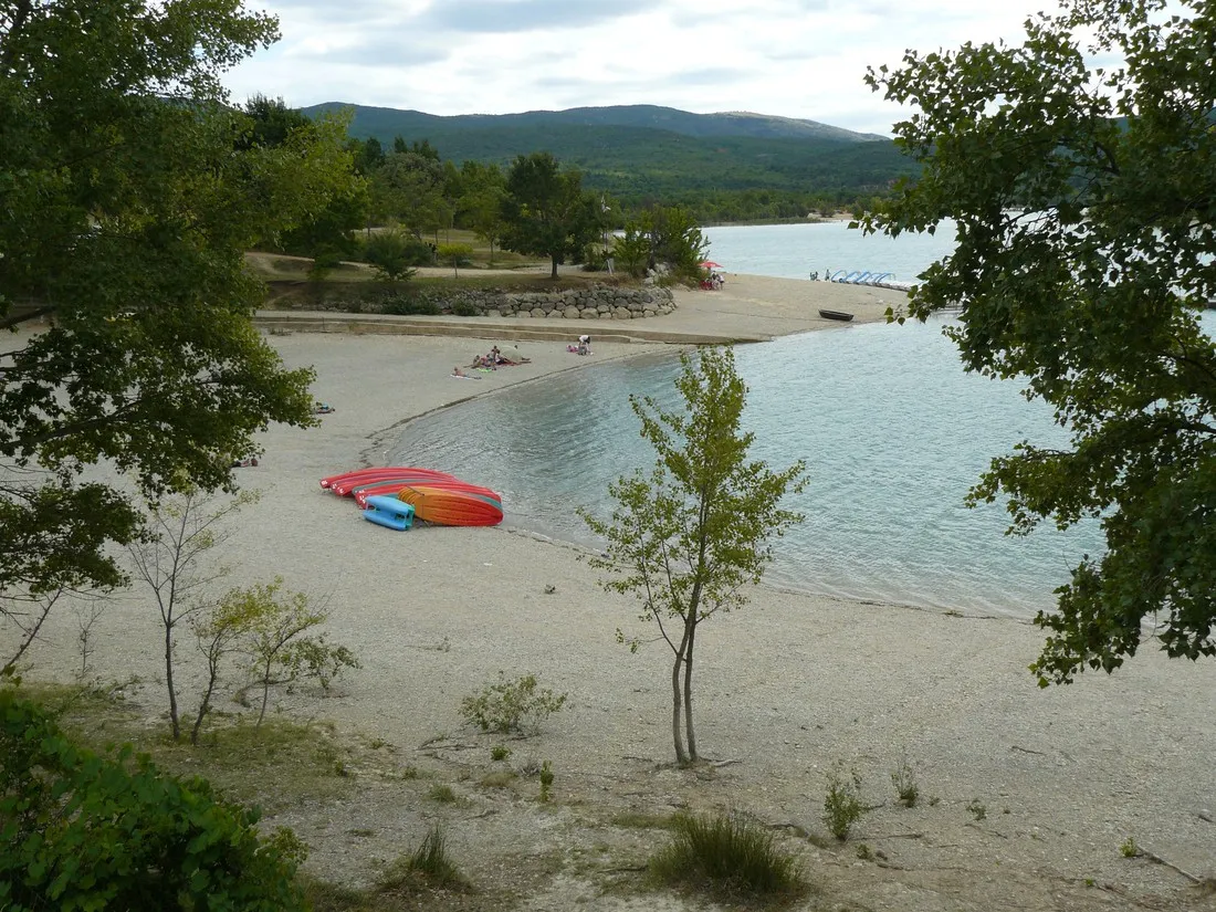les-pins-les-salles-sur-verdon-x60p4