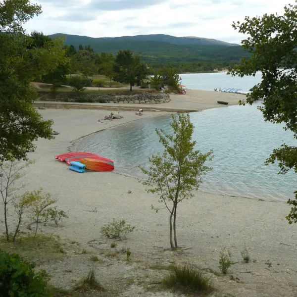 les-pins-les-salles-sur-verdon-x60p4