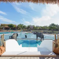 resort-sanguli-salou-salou-uxknv