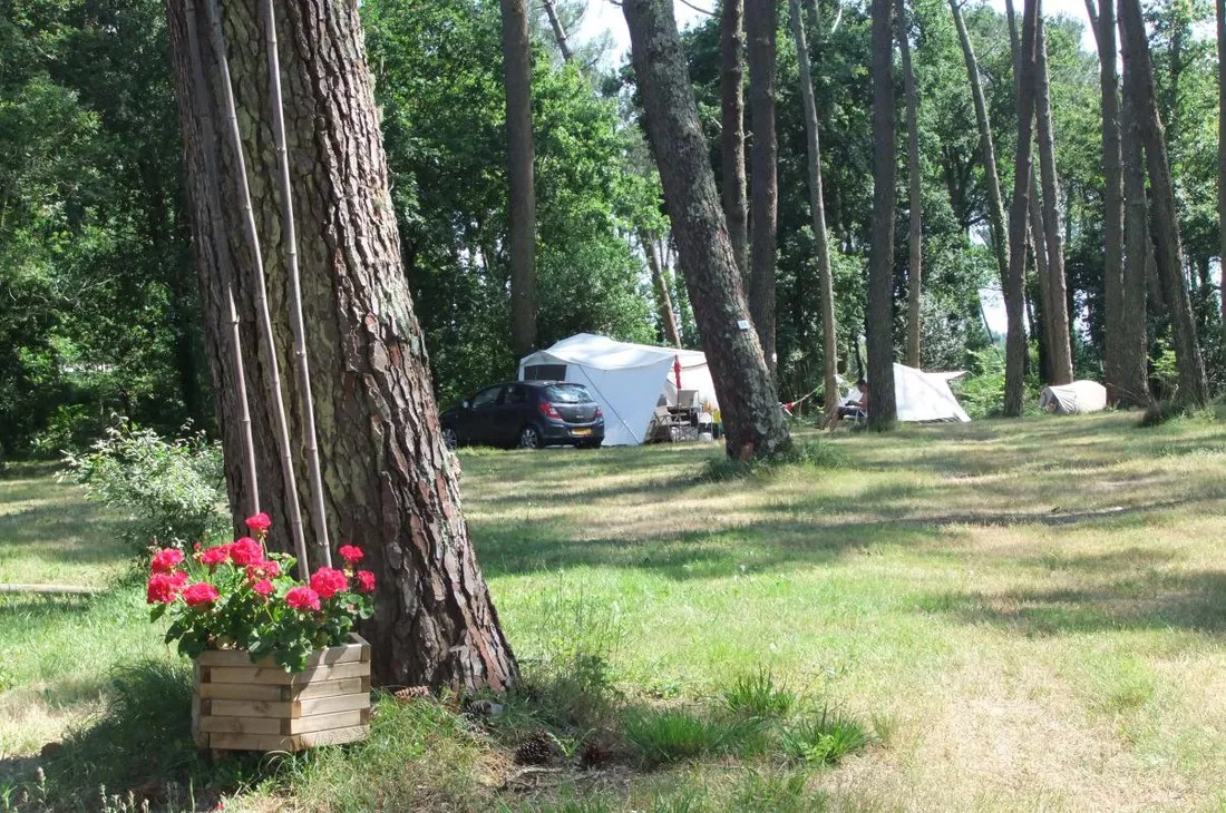 la-teouleyre-st-julien-en-born-landes-6lbyc