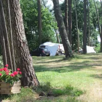 la-teouleyre-st-julien-en-born-landes-6lbyc