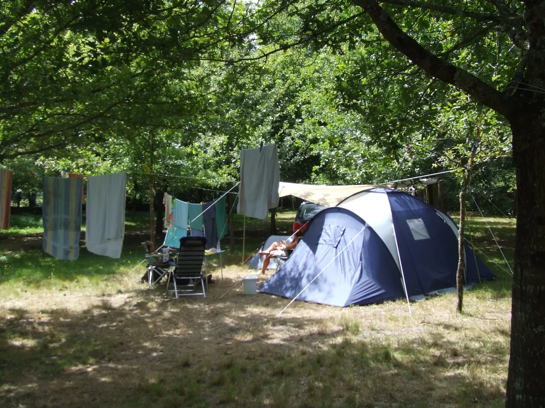 la-teouleyre-st-julien-en-born-landes-kotzk