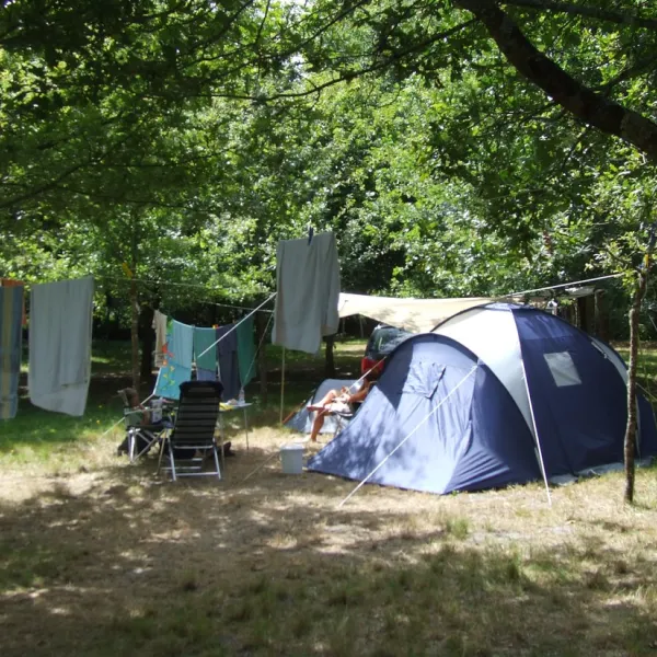 la-teouleyre-st-julien-en-born-landes-kotzk