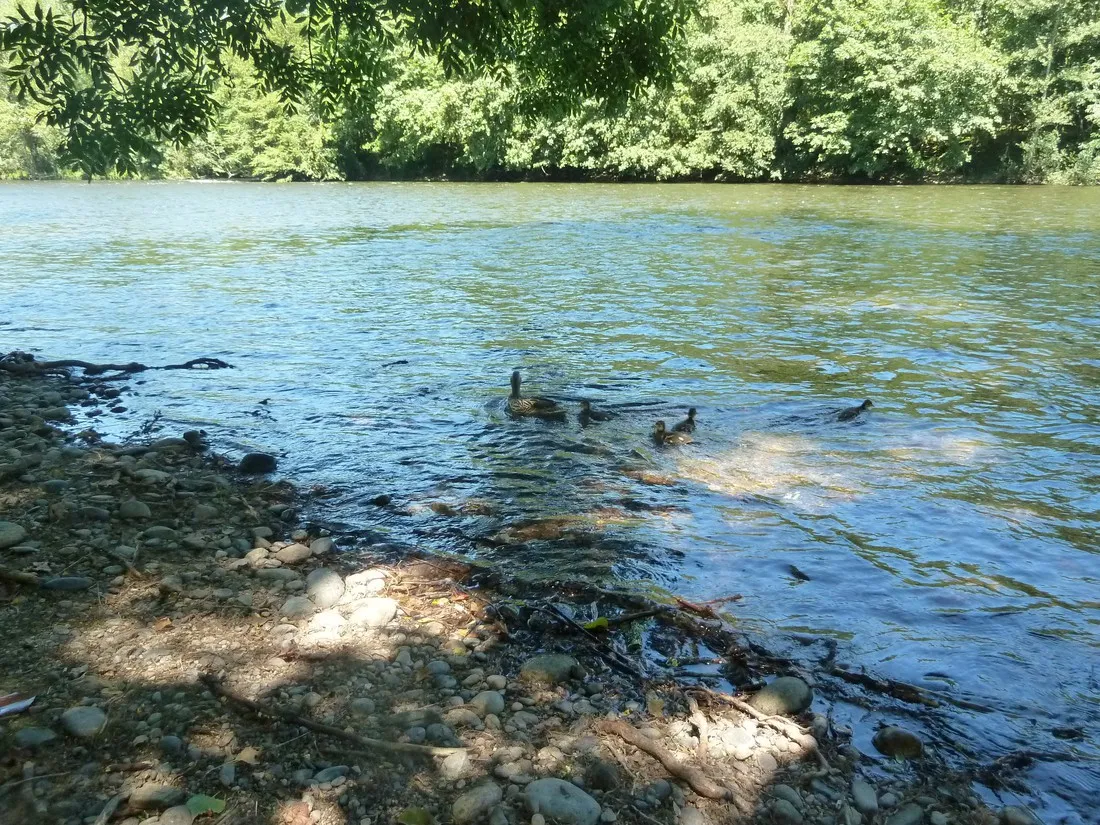 huttopia-beaulieu-sur-dordogne-beaulieu-sur-dordogne-correze-yriip