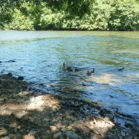 huttopia-beaulieu-sur-dordogne-beaulieu-sur-dordogne-correze-yriip