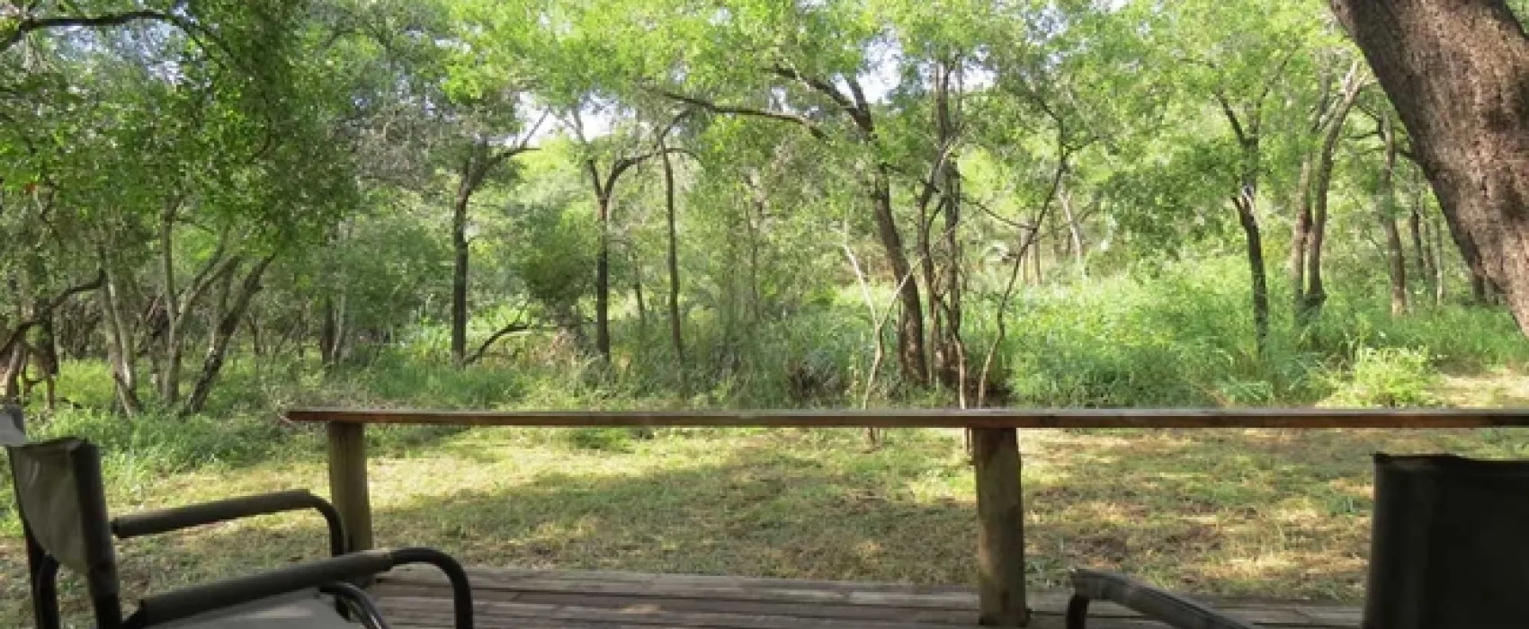 Makongo Bush Camp
