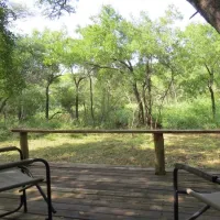 Makongo Bush Camp