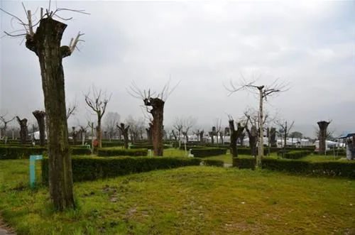 lido-glamping-pacengo-di-lazise-aekfb