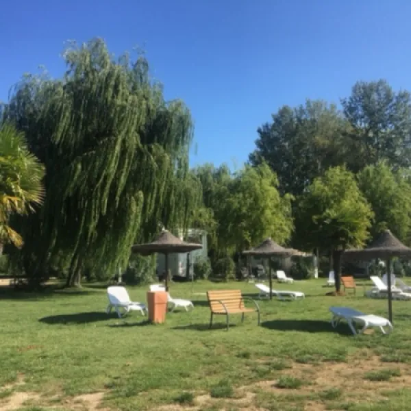 trasimeno-passignano-lago-di-trasimeno-aq5sc