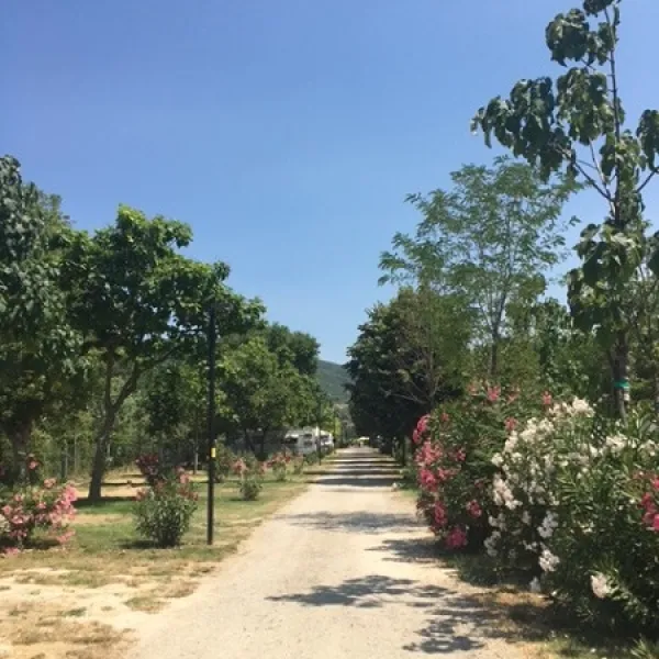 trasimeno-passignano-lago-di-trasimeno-lidkg