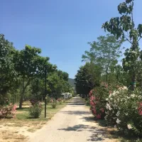 trasimeno-passignano-lago-di-trasimeno-lidkg