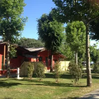 trasimeno-passignano-lago-di-trasimeno-zg2cq