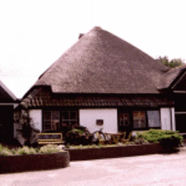 de-vrije-vogel-texel-g5vwp