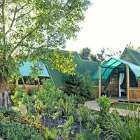 tube-n-axe-backpackers-lodge-storms-river-tsitsikamma-mshsp