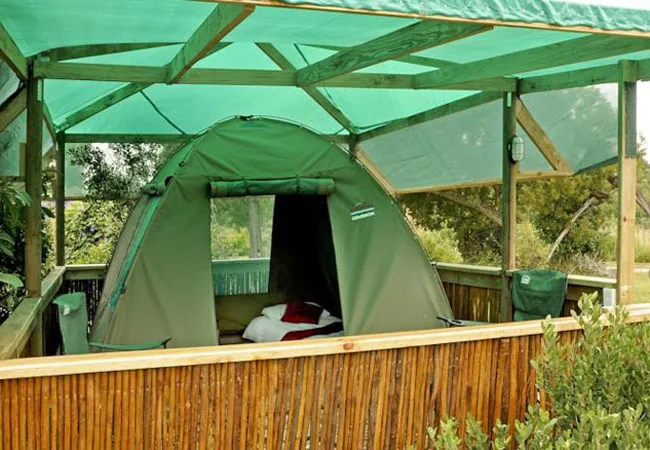 tube-n-axe-backpackers-lodge-storms-river-tsitsikamma-s7fzo